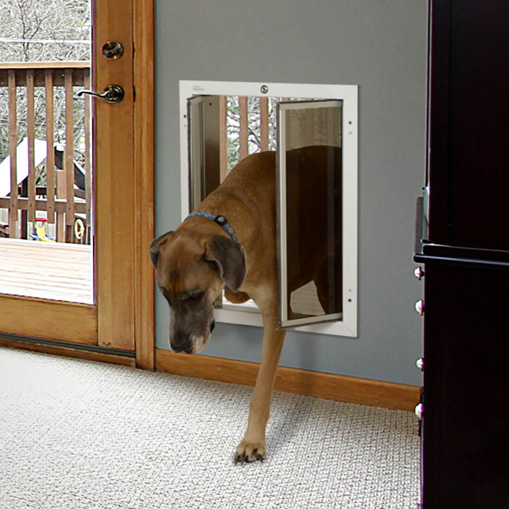 Hundehegn Køb dit usynlige hegn hos Dogwatch.dkPlexiDor PetDoor